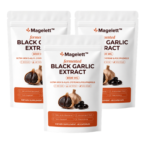 Magelett