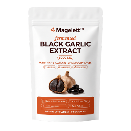 Magelett