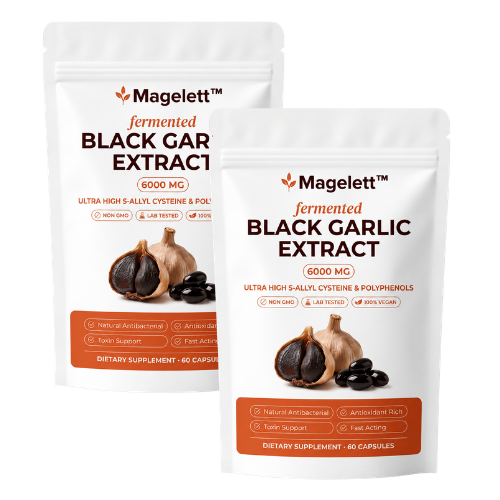 Magelett